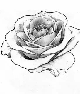 rose drawing stencil at getdrawings free download - rose tat