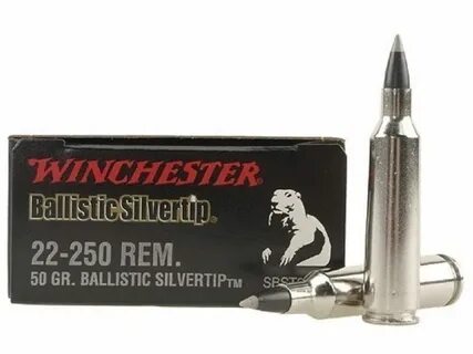 Winchester Ammo 22-250 Remington 50 Grain Ballistic Silverti