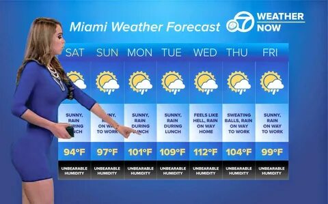 Pin by Darnell on Chiami's Miami Miami weather, Weather forecast, Feelings