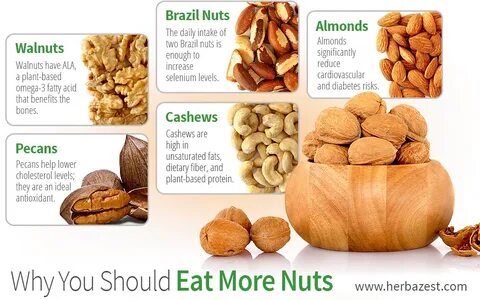 Why You Should Eat More Nuts HerbaZest