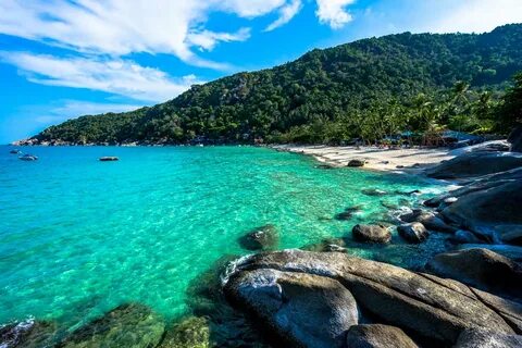 Vegan Travel Guide - Koh Phangan - Steemit