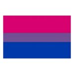 bisexual bi bisexualflag sticker by @kiaraclouds