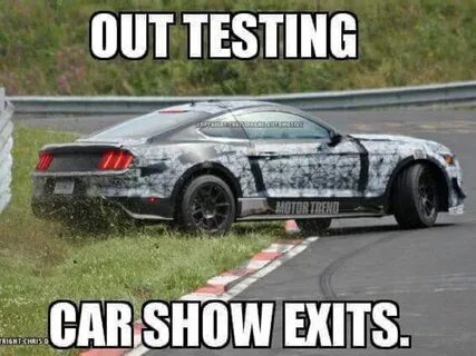 Hilarious Mustang Memes Have Broken The Internet: Here Are O