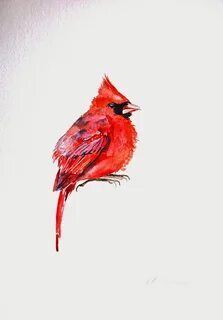 Red bird tattoos, Watercolor bird tattoo, Birds tattoo