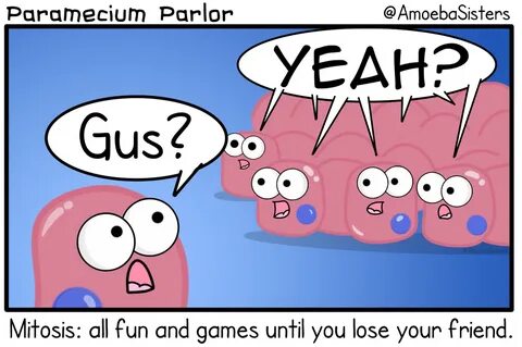 Mitosis comic #science #biology Mitosis, Biology experiments