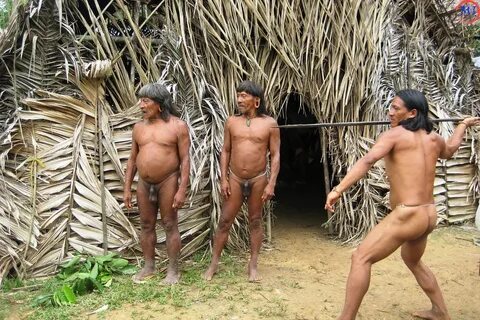 Голые Племена Индейцев