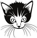 Cat Whiskers Png Download - Whiskers Clipart Black And White