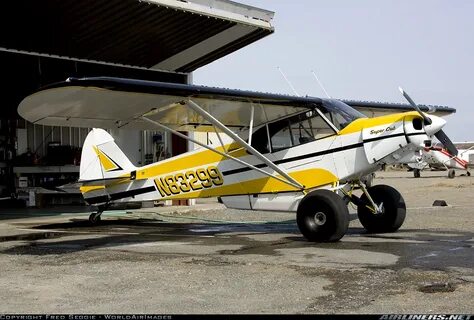 Piper PA-18-150 Super Cub - Untitled Aviation Photo #1829410