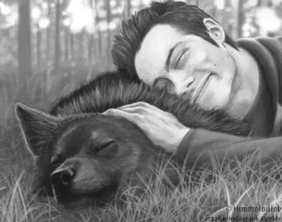 Liam Clark в Твиттере: "#stilesstilinski #teenwolf #sterek #