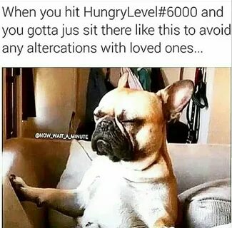 #hangry lol Hungry funny, Workout humor, Funny