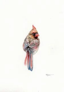 Original 7x9 Watercolour Red cardinal by happyapplebumblebee