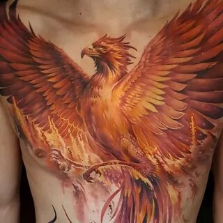 Close up of Phoenix I did a while ago! ☄ ️☄ ️☄ #tattoos #tatto