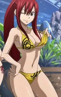 Fairy Tail Bikini Contest Anime Amino