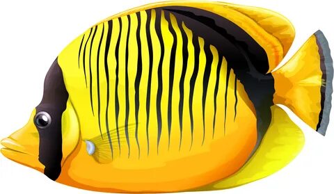 Yellow Butterfly Fish Png Clipart - Fish Clipart Png - (3000