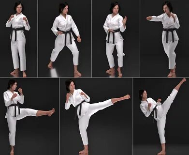 Martial Arts Poses by JohnDoe641