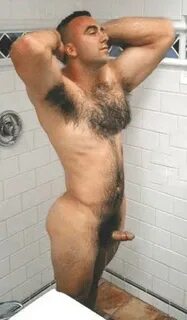 Nude hairy men Hairy Men Pics