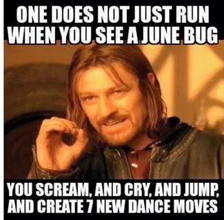 19 Funny June Meme That Make You Laugh - MemesBoy