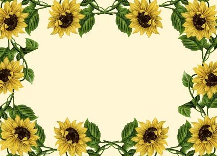 Sunflower Clip Art Borders Wallpapers For Free Download HD S