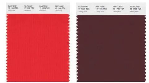 Экcперты Pantone назвали самый модный оттенок осени 2017 - B