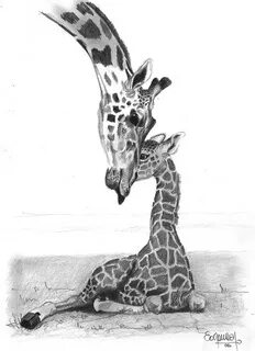 Drawn giraffe mother and baby - Pencil and in color drawn gi