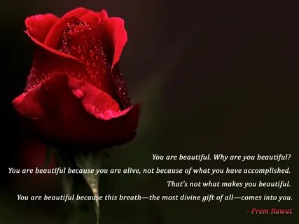 You Are Beautiful Quotes And Sayings. QuotesGram