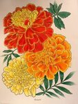 Lina (18+ division) Flower art, Marigold tattoo, Floral art