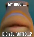 Did You Farted? Staring Fish / Do You Fart Know Your Meme