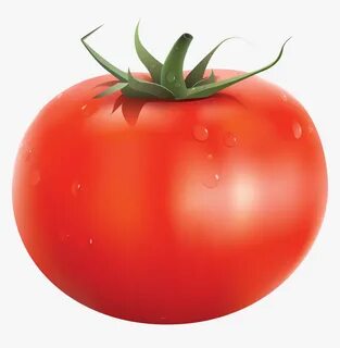 Tomato Png - Individual Fruits And Vegetables, Transparent P