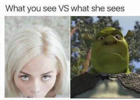 Shrek 5 Meme : Shrek meme : JacksFilms - Mohsin Browning