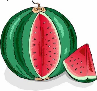 CHILDREN'S Drawings Of Watermelon (68 photos) " Рисунки для 