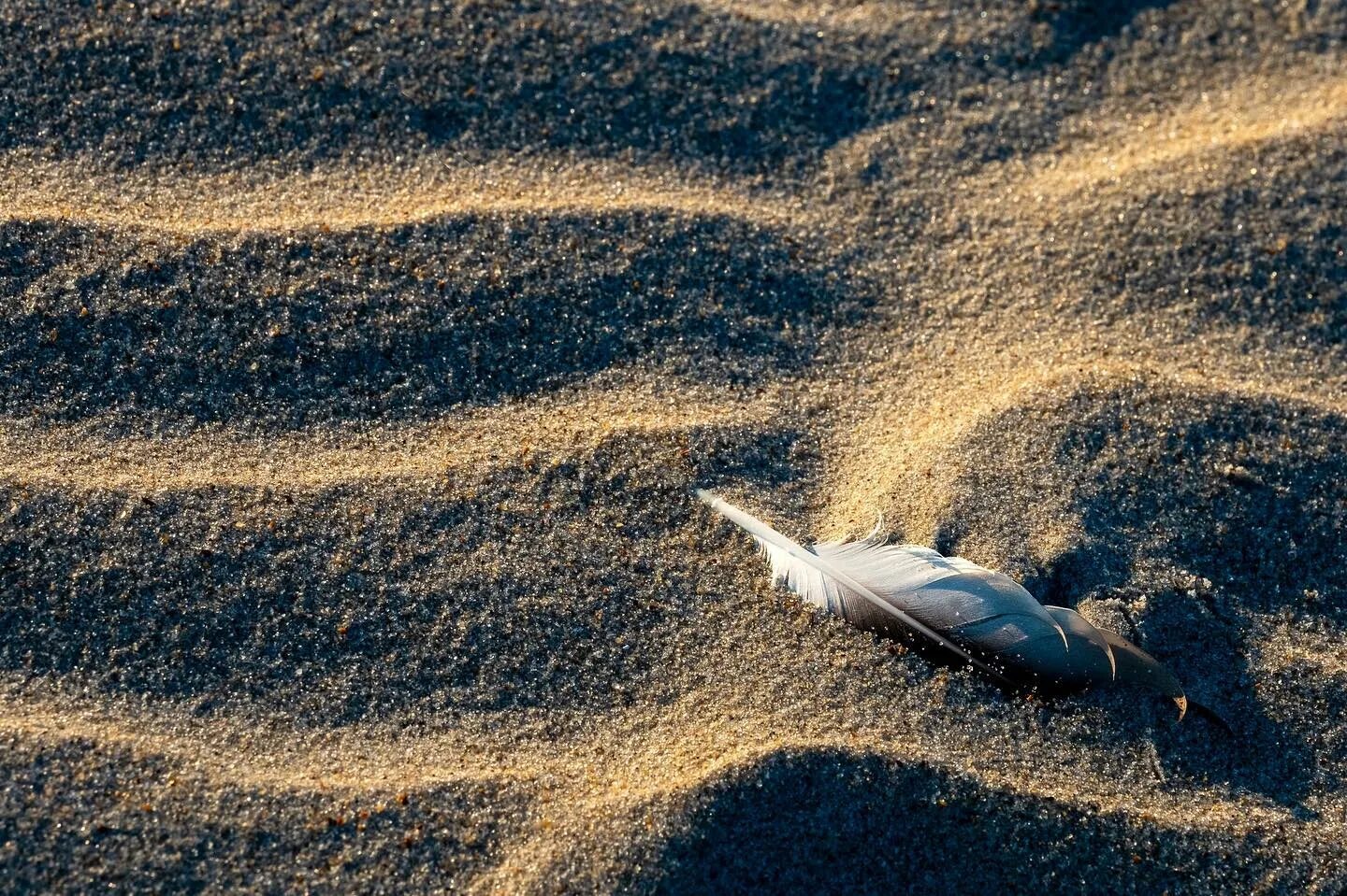 Under the sand steam фото 106