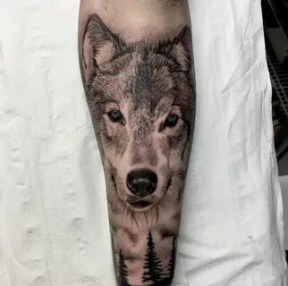 Black and grey ink realistic wolf tattoo by Fervescent Wolf 