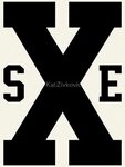 "sXe - straight edge" Pullover Hoodie by KatZivkovic Redbubb