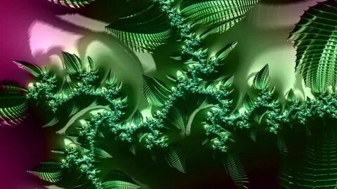 Green Leaves Fractal Roughness Patterns HD Trippy Wallpaper/