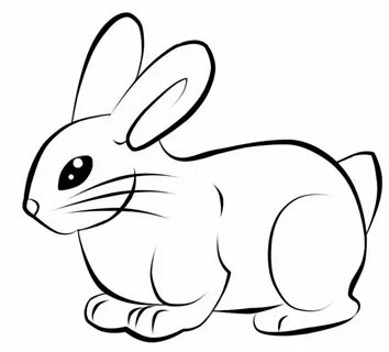 Image result for rabbit line drawings Drawings, Line drawing