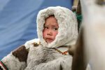 Правительство РФ возобновит проект "Дети Арктики", чтобы под