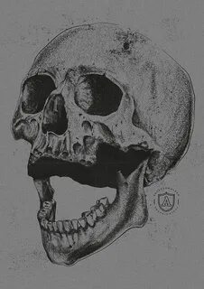 Laughing Skull on Behance Skull tattoo design, Skulls drawin