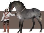 handler and horse auction CLOSED by valachhim Horse art draw