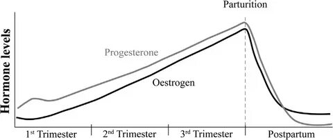 progesterone levels in early pregnancy chart - Fomo