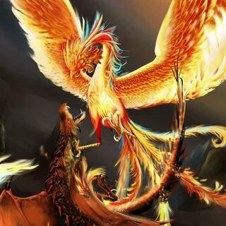 Dragons And Phoenix Rising From Ashes Wallpapers - Wallpaper
