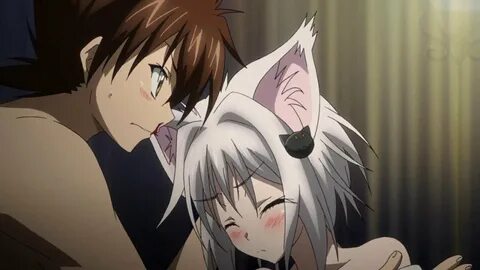 AMV High School DxD - Comatose - YouTube