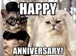 Most Trending and Funny Wedding Anniversary Meme by Generate