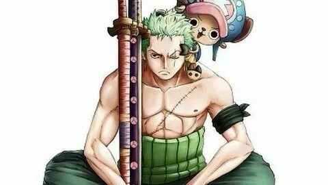 Roronoa Zoro: The "Moss" That Hold's One Piece Together Anim