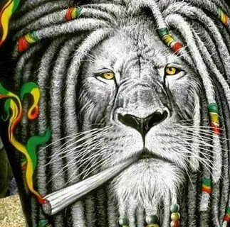 Rasta Lion Reggae art, Lion art, Rasta lion