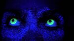 Make Your Eyes Glow With Halloween Colored Contacts - TheFas