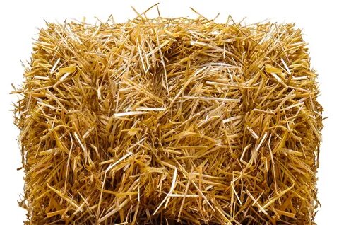 Collection of Hay Bale PNG Free. PlusPNG