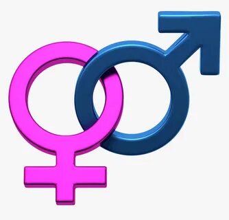 Gender Symbol Female Clip Art - Gender And Human Sexuality P