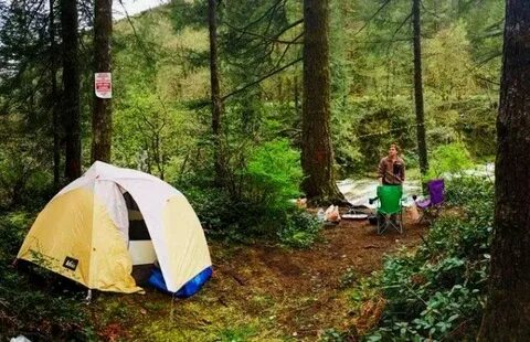 Family Camping Experience. Camping out is among the the most