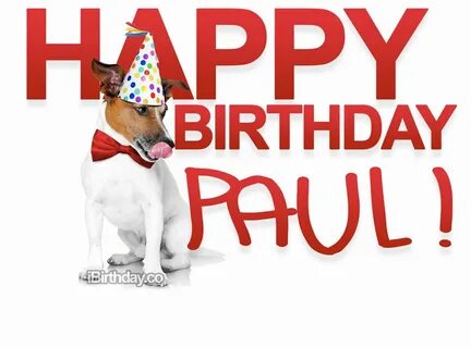 Paul Dog Birthday Meme - Happy Birthday