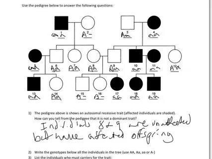 Answer Key Pedigree Worksheet 3 Hemophilia The Royal Disease